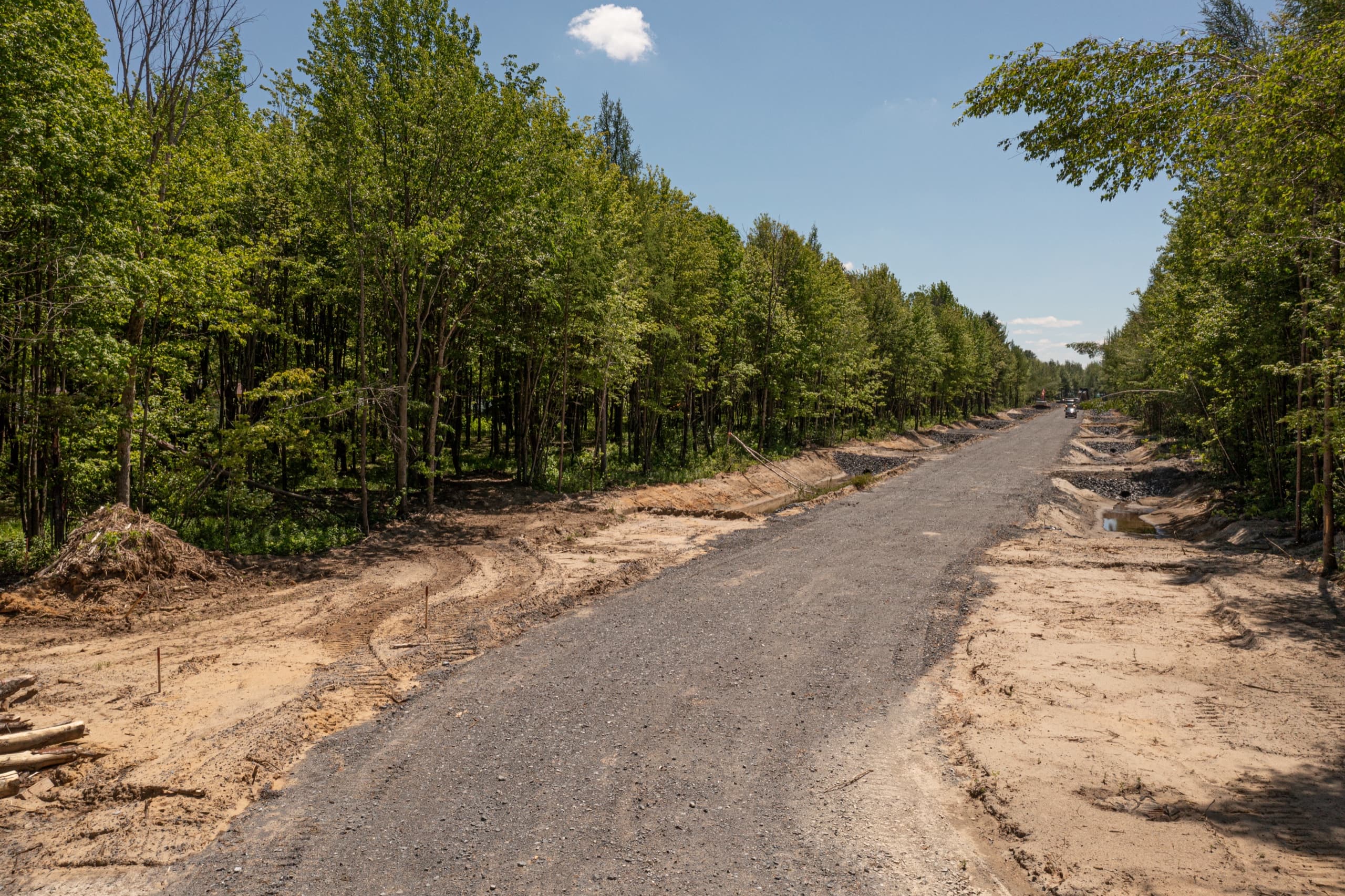 L'entrée du nouveau quartier PUR Granby à Granby, bordée d'arbres matures